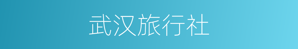 武汉旅行社的同义词