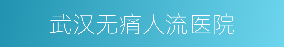 武汉无痛人流医院的同义词