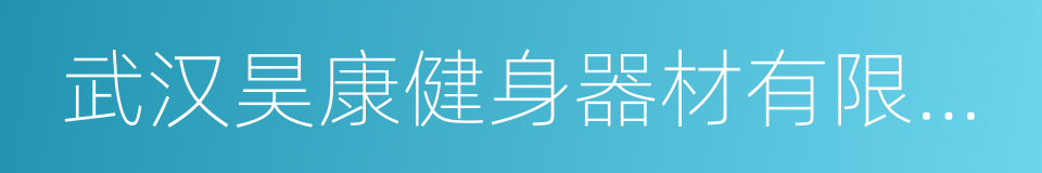 武汉昊康健身器材有限公司的同义词