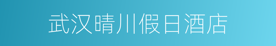 武汉晴川假日酒店的同义词