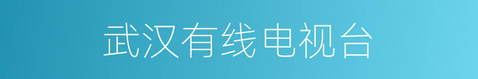 武汉有线电视台的同义词