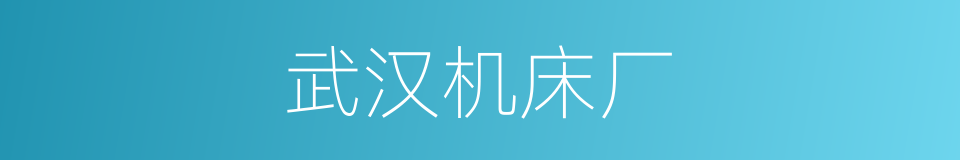 武汉机床厂的同义词