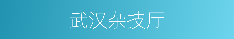 武汉杂技厅的同义词