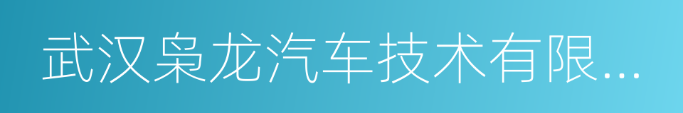 武汉枭龙汽车技术有限公司的同义词