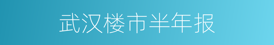 武汉楼市半年报的同义词