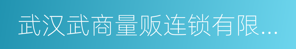 武汉武商量贩连锁有限公司的同义词