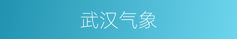 武汉气象的同义词