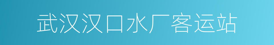 武汉汉口水厂客运站的同义词