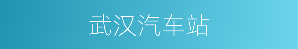 武汉汽车站的同义词