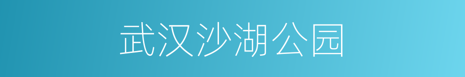 武汉沙湖公园的同义词