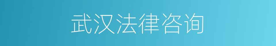 武汉法律咨询的同义词