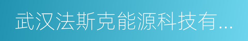 武汉法斯克能源科技有限公司的同义词