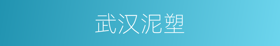 武汉泥塑的意思