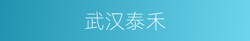 武汉泰禾的同义词
