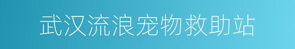 武汉流浪宠物救助站的同义词