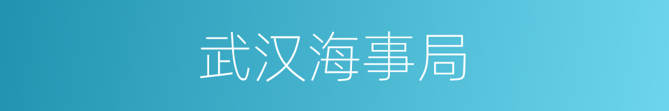 武汉海事局的同义词