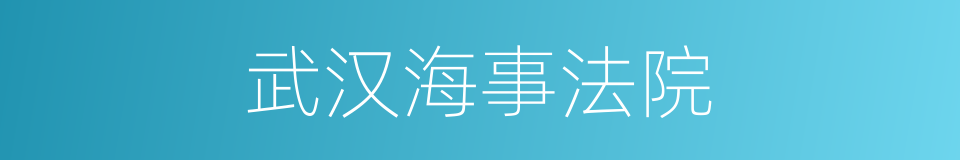 武汉海事法院的同义词