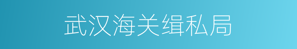 武汉海关缉私局的同义词