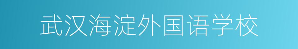 武汉海淀外国语学校的同义词