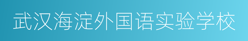 武汉海淀外国语实验学校的同义词