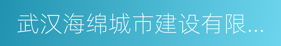 武汉海绵城市建设有限公司的同义词