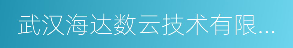 武汉海达数云技术有限公司的同义词