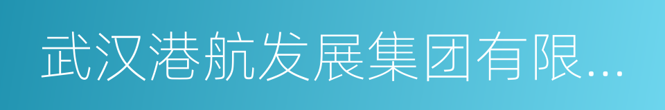 武汉港航发展集团有限公司的同义词