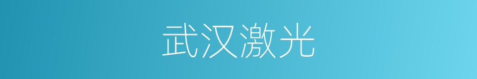 武汉激光的同义词