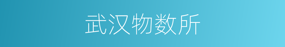 武汉物数所的同义词