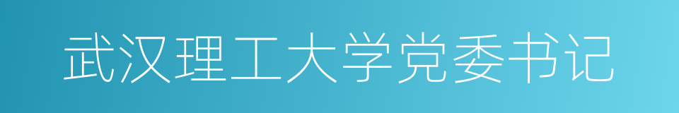 武汉理工大学党委书记的同义词