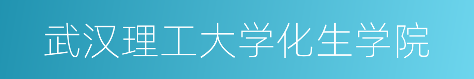 武汉理工大学化生学院的同义词