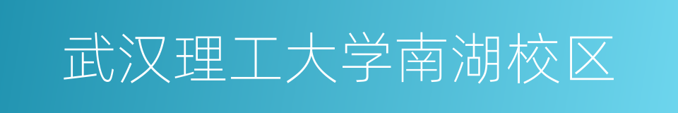 武汉理工大学南湖校区的同义词