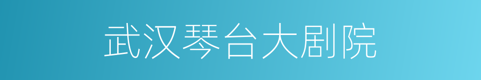 武汉琴台大剧院的同义词