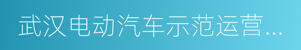 武汉电动汽车示范运营有限公司的同义词