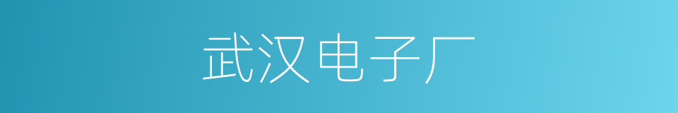 武汉电子厂的同义词