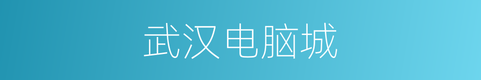 武汉电脑城的同义词