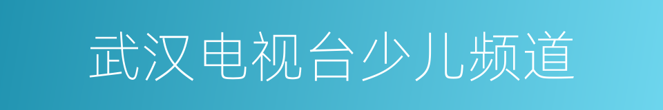 武汉电视台少儿频道的同义词