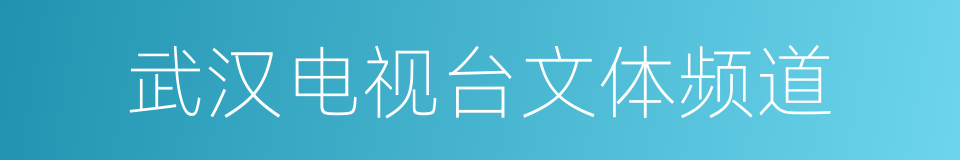 武汉电视台文体频道的同义词