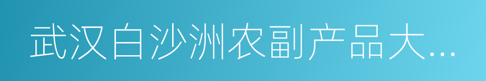 武汉白沙洲农副产品大市场的同义词