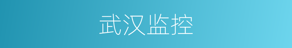 武汉监控的同义词