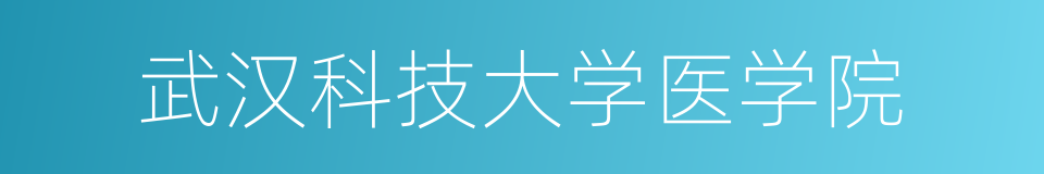 武汉科技大学医学院的同义词