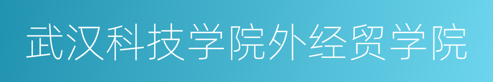 武汉科技学院外经贸学院的同义词