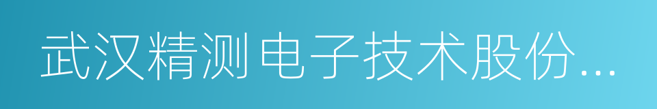 武汉精测电子技术股份有限公司的同义词