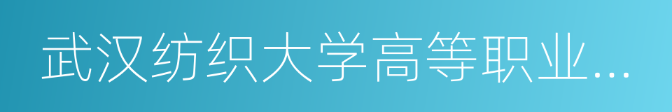 武汉纺织大学高等职业技术学院的同义词