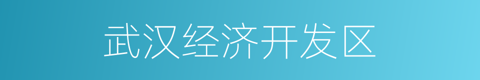 武汉经济开发区的同义词