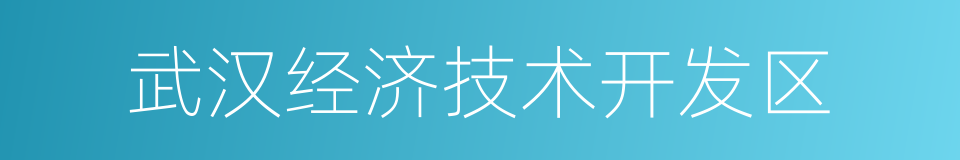 武汉经济技术开发区的同义词