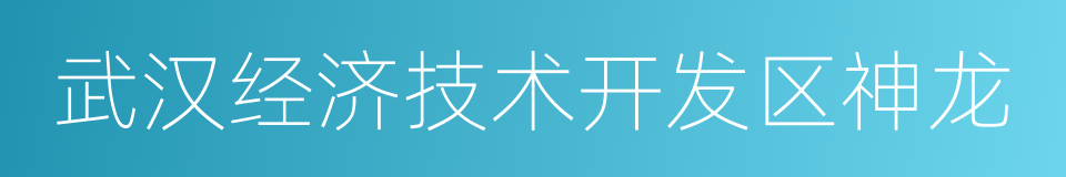 武汉经济技术开发区神龙的同义词