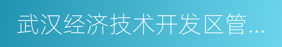 武汉经济技术开发区管委会的同义词