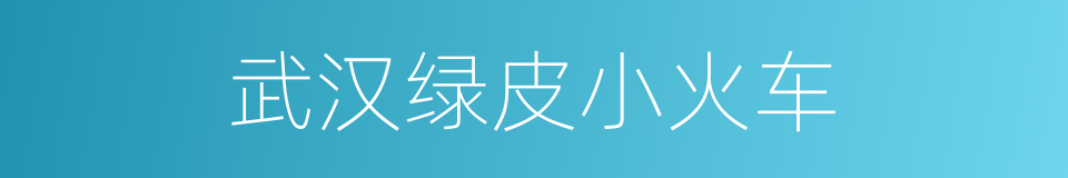 武汉绿皮小火车的同义词