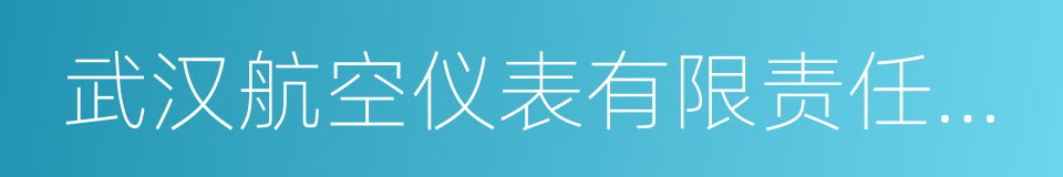 武汉航空仪表有限责任公司的同义词